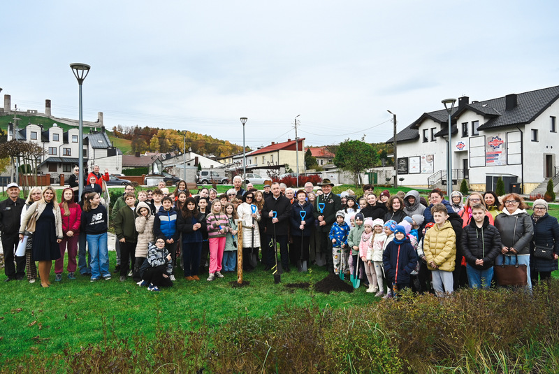 W Chęcinach posadzono Dąb 700-lecia – żywy symbol historii i wspólnoty